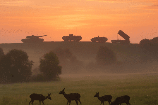 US Politician's Stock Pick in Rheinmetall $RHM.DE Soars 267%, Reflecting Europe's Defence Resurgence